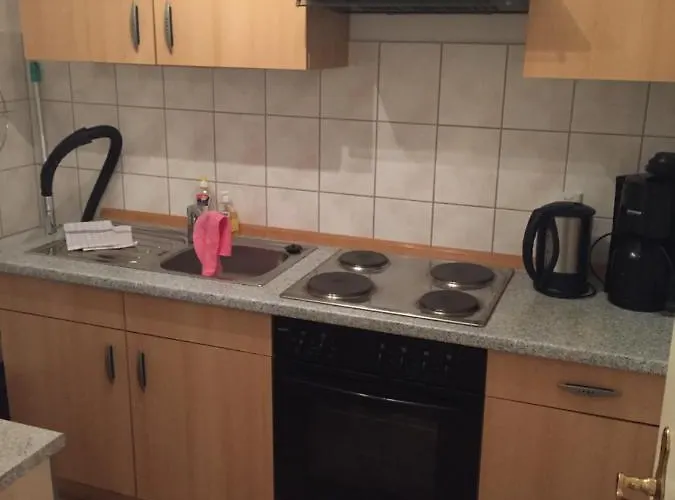 Lang Appartement Willingen (Upland)