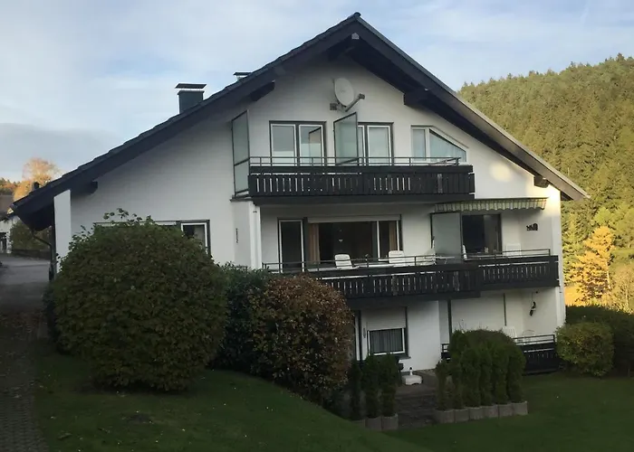 Ferienwohnungen Lang * Willingen (Upland)