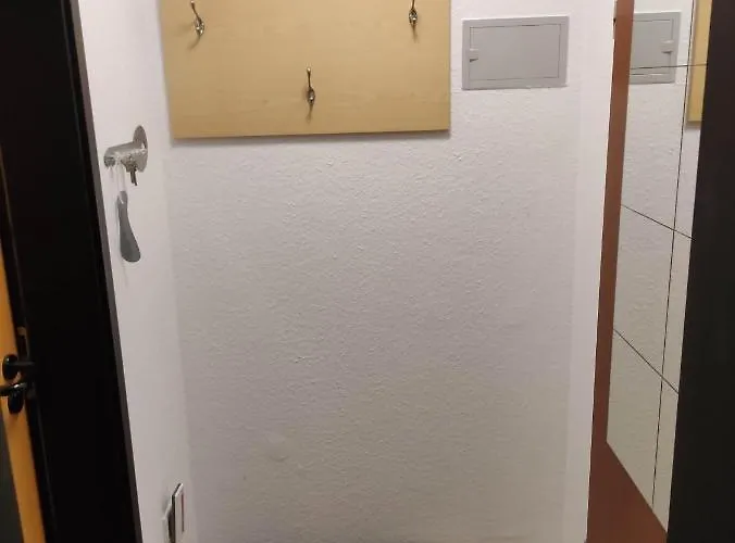 Lang Appartement Willingen (Upland)